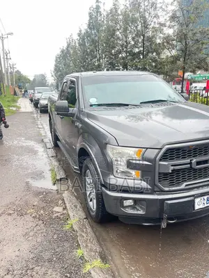 Ford F-150 2016 Gray