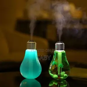 Light Bulb Humidifier