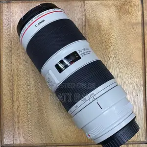 70-200mm Mark Iii Zebra