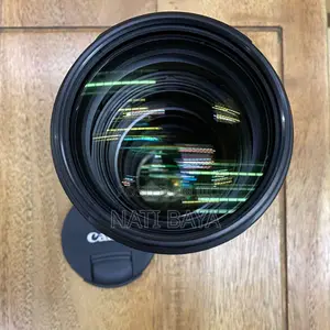 70-200mm Mark Iii Zebra