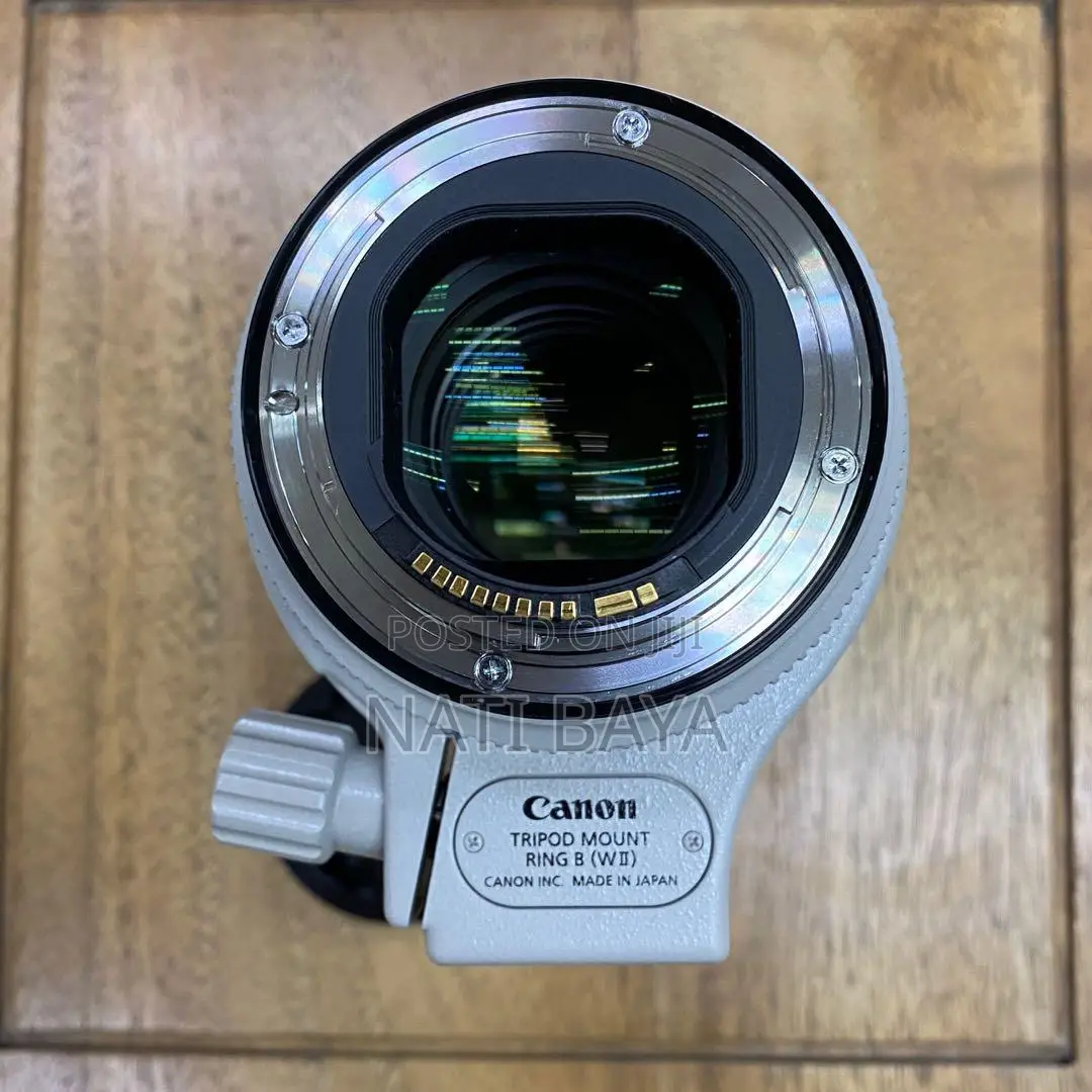 70-200mm Mark Iii Zebra
