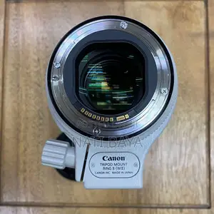 70-200mm Mark Iii Zebra