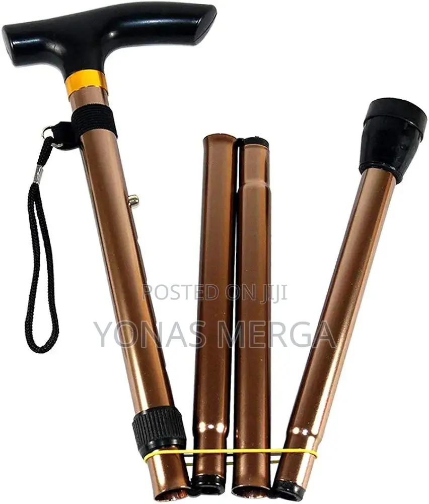 Walking Stick That Provides Stability to Those Need Support