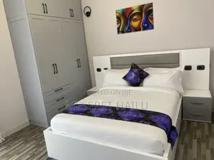 Furnished 2bdrm Apartment in Bole for rent