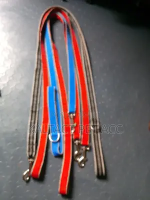We Have Dog Leash