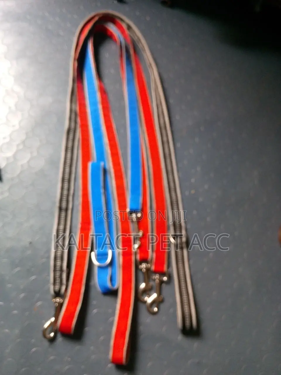 We Have Dog Leash