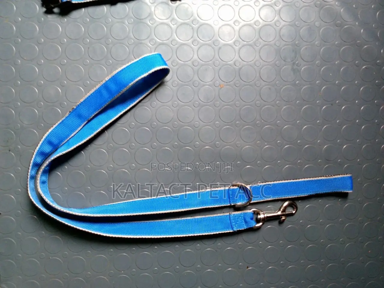 We Have Dog Leash