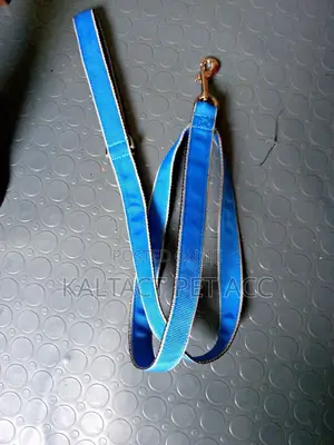 We Have Dog Leash
