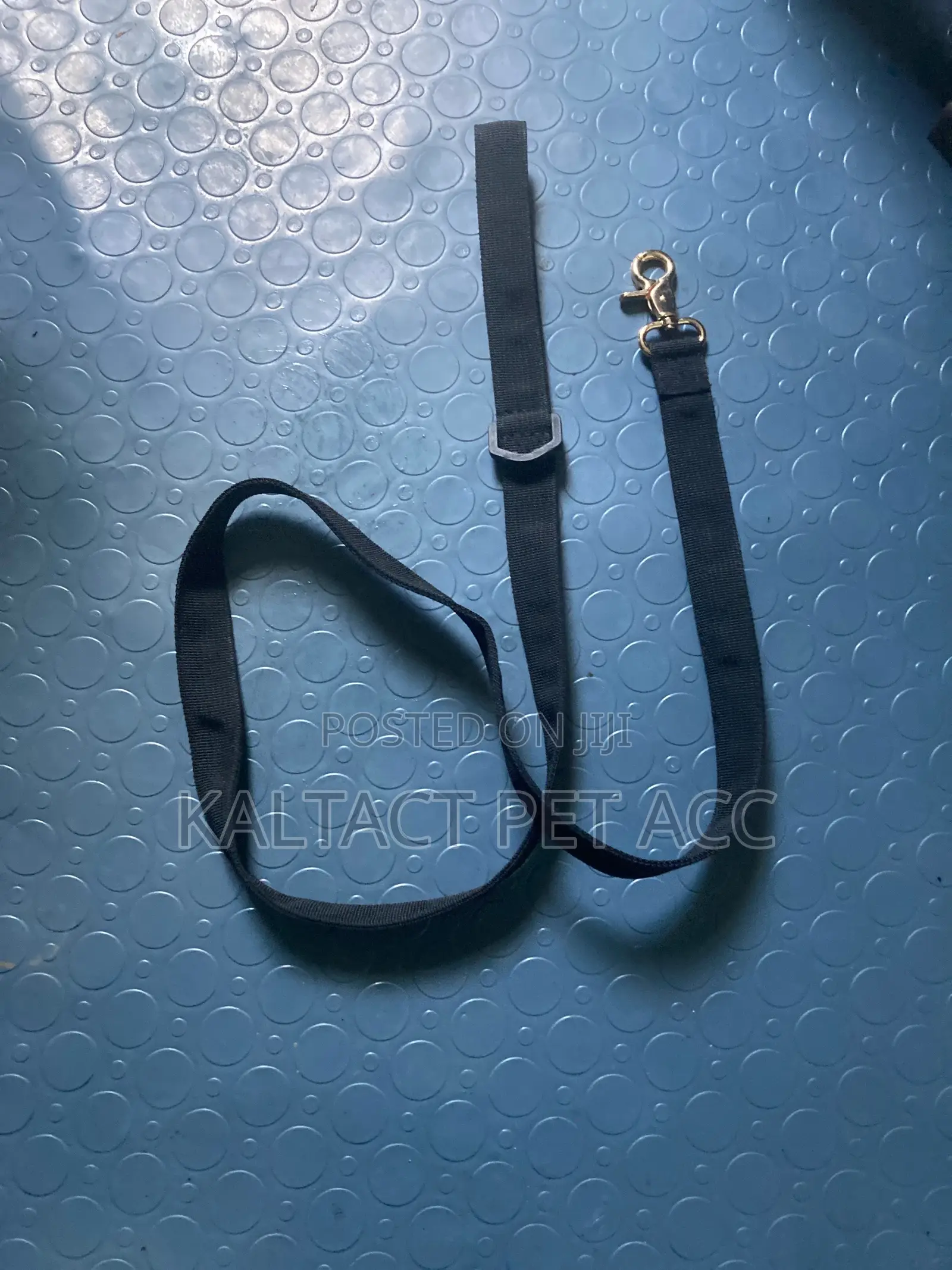 We Have Dog Leash