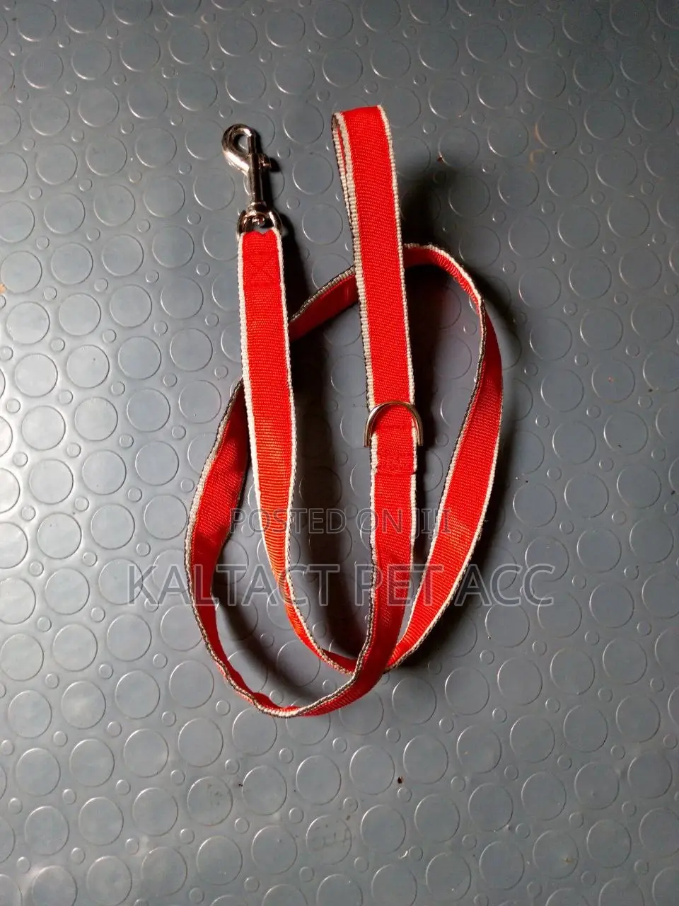 We Have Dog Leash