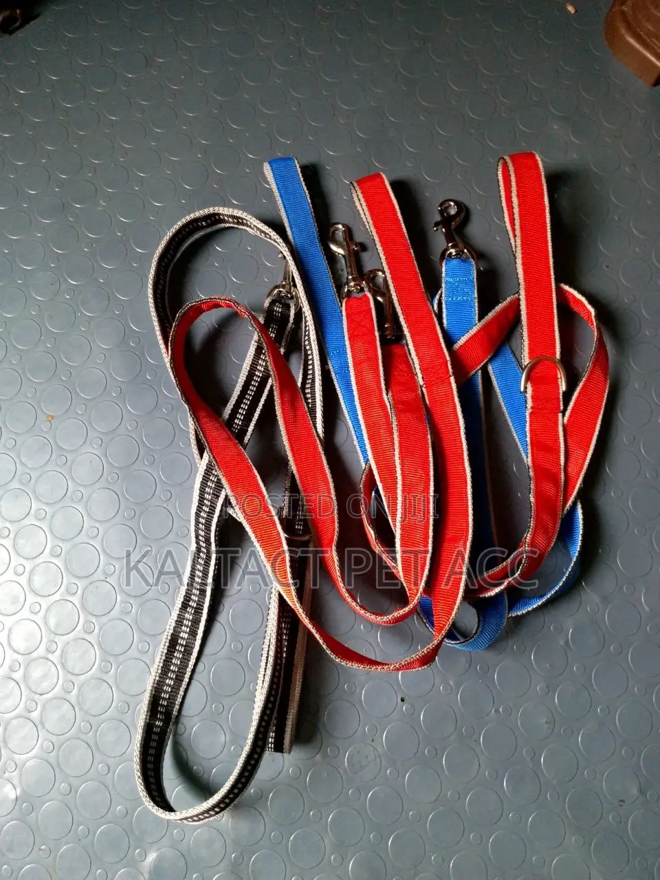 We Have Dog Leash