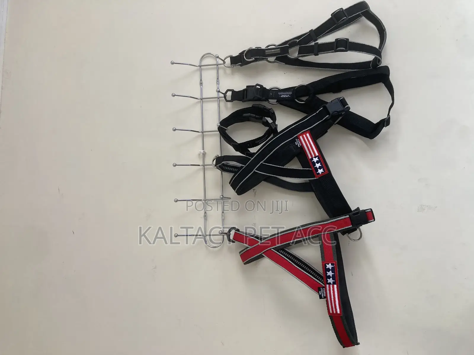 Chest Strap Dog Harness