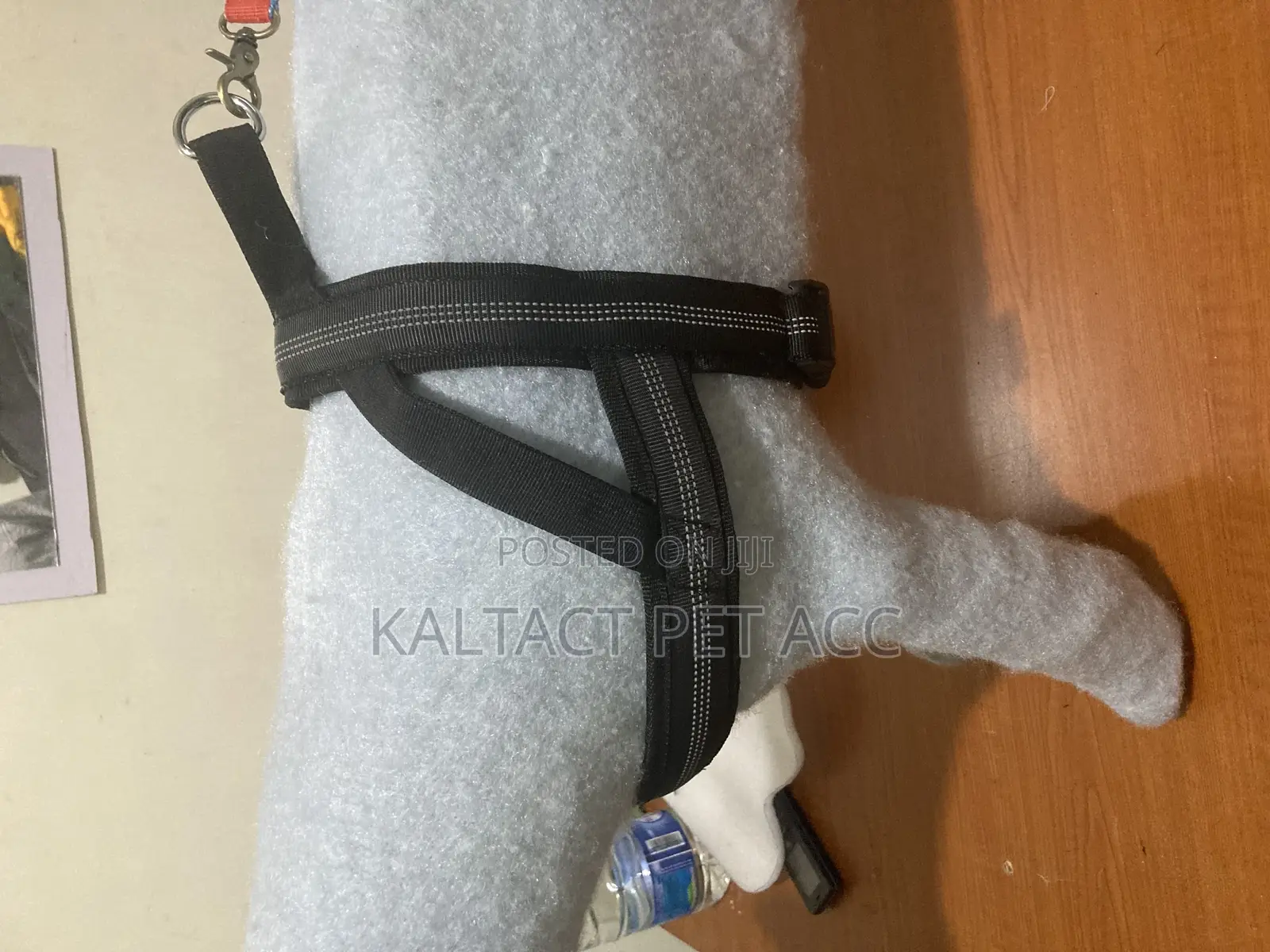 Chest Strap Dog Harness