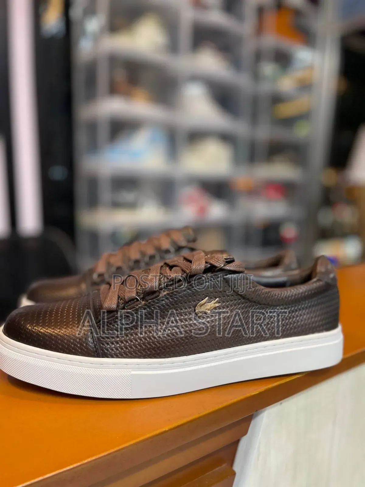Lacoste Master Quality Flats Shoes for You