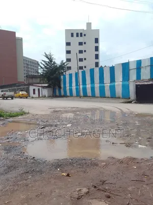 Construction Land Sale Bole