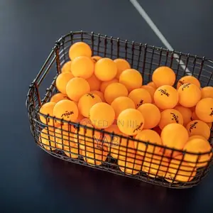 Table Tennis 5 Dozen ( 60pcs ) Balls