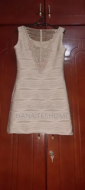 Shapy Dress