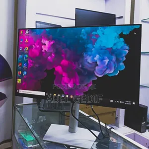 Dell 24 Inch Monitor