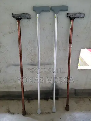 ከዘራ Ageasy(Max Group)Single Leg Walking Stick for Old People