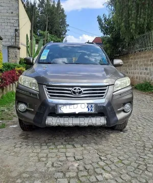 Toyota RAV4 2010 Brown