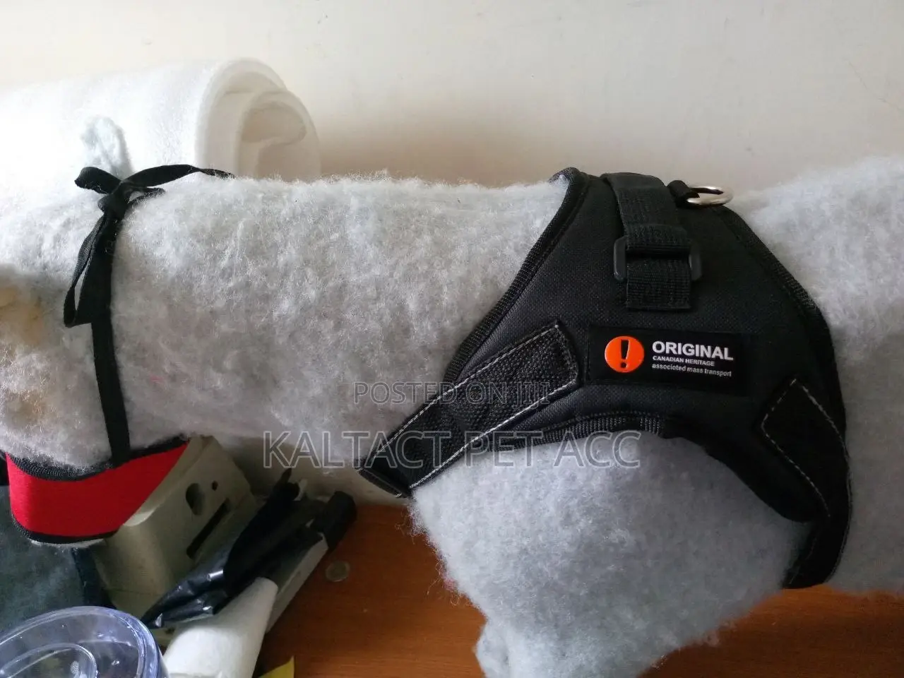 Dog Accessories