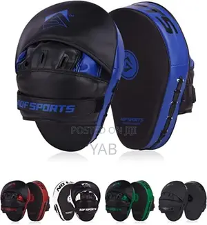 Boxing Target Pad