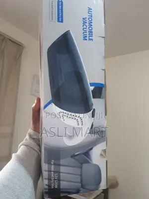 Automobile Vacuum For Wet And Dry