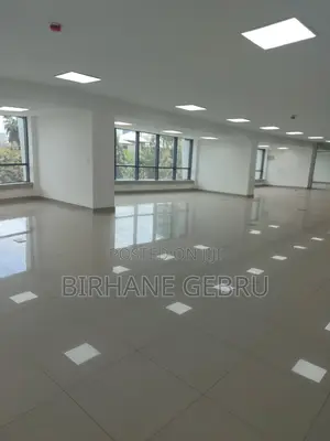 Luxury Apartiment for Office Rent
