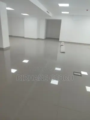 Luxury Apartiment for Business Rent
