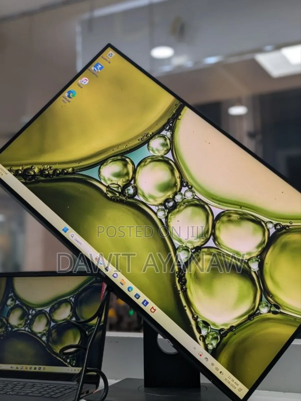 Dell Monitors