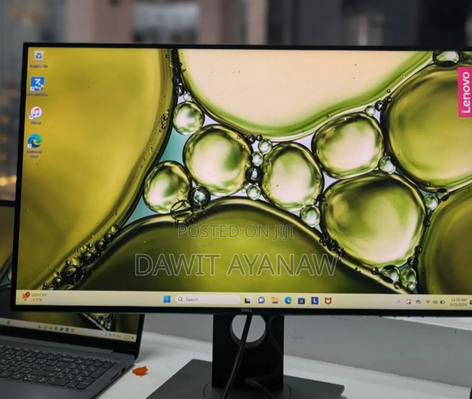 Dell Monitors