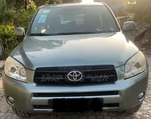 Toyota RAV4 2007 Gray
