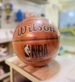 Wilson Forge Pro Basketball