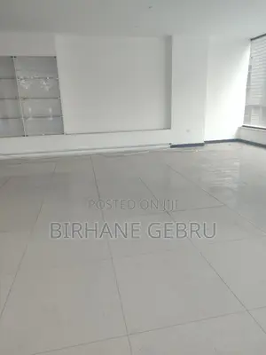Luxury Apartiment for Business Rent