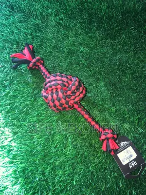 Ball for Dogs