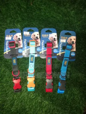 Best Collars