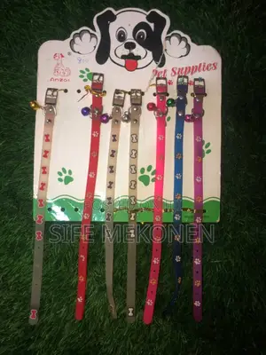Tiny Dogs Collar