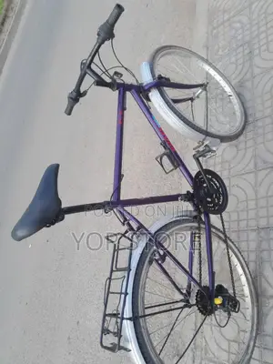 Phoenix Bicycle