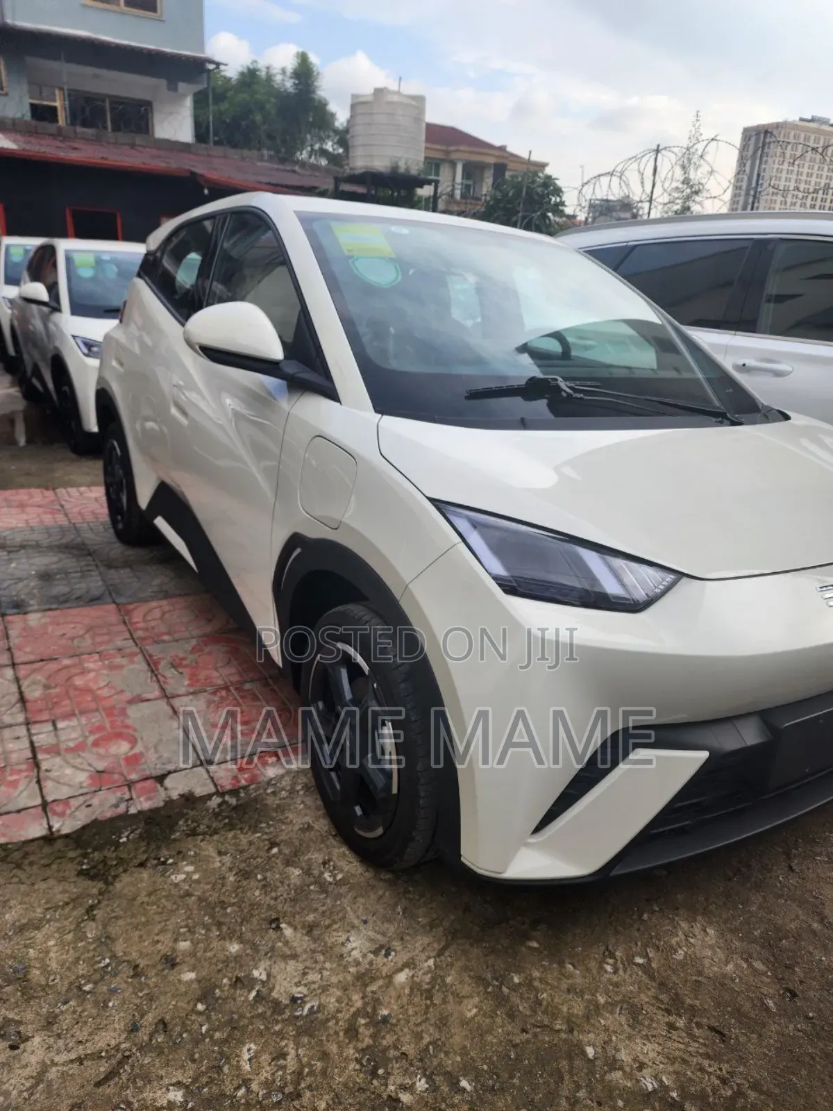 New BYD Seagull 2024 White