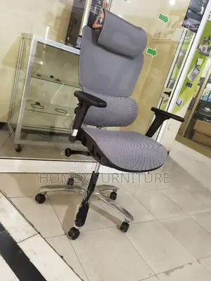 Ergonomics Managerial Mesh Chair የቢሮ ወንበር