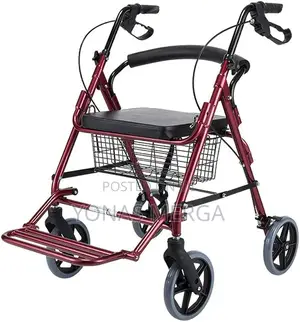 4 Wheel Walker Rollator With Fold Up Removable Back Support