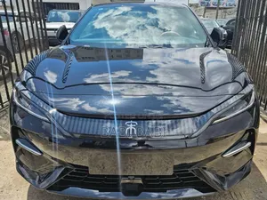 New BYD Song Plus 2024 Gray