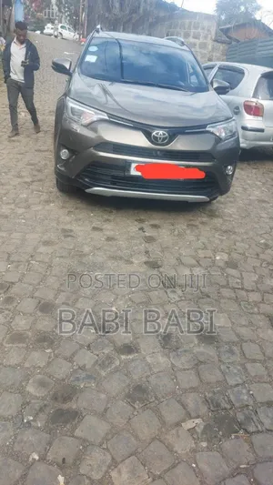Toyota RAV4 2018 Brown