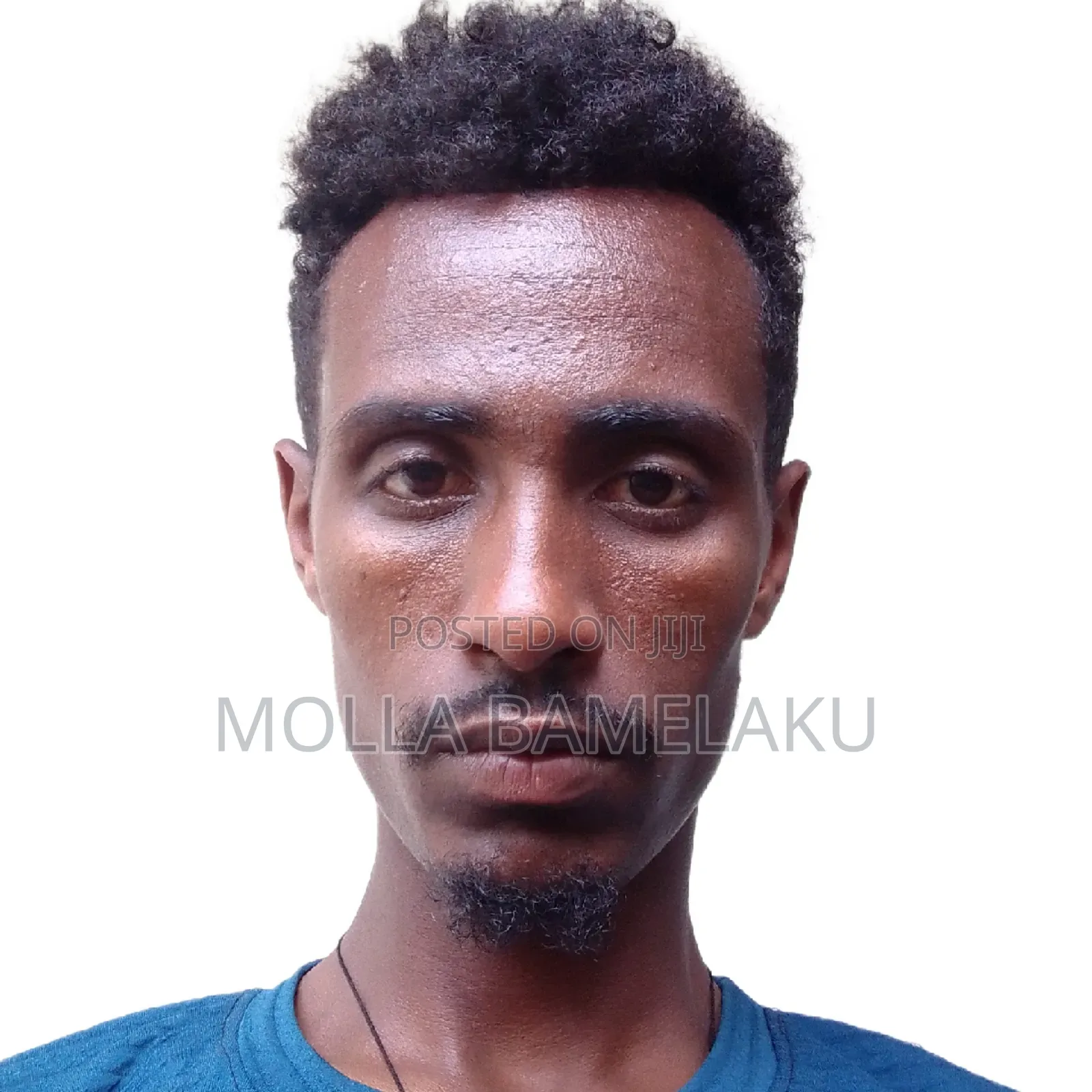 Business and Economics