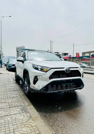 New Toyota RAV4 2024 White