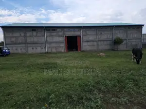 መጋዘን Megazn