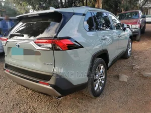 New Toyota RAV4 2022 Gray