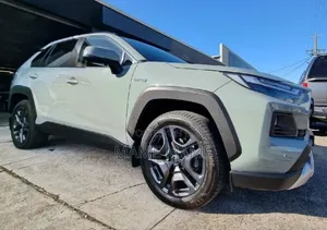 New Toyota RAV4 2021 Gray
