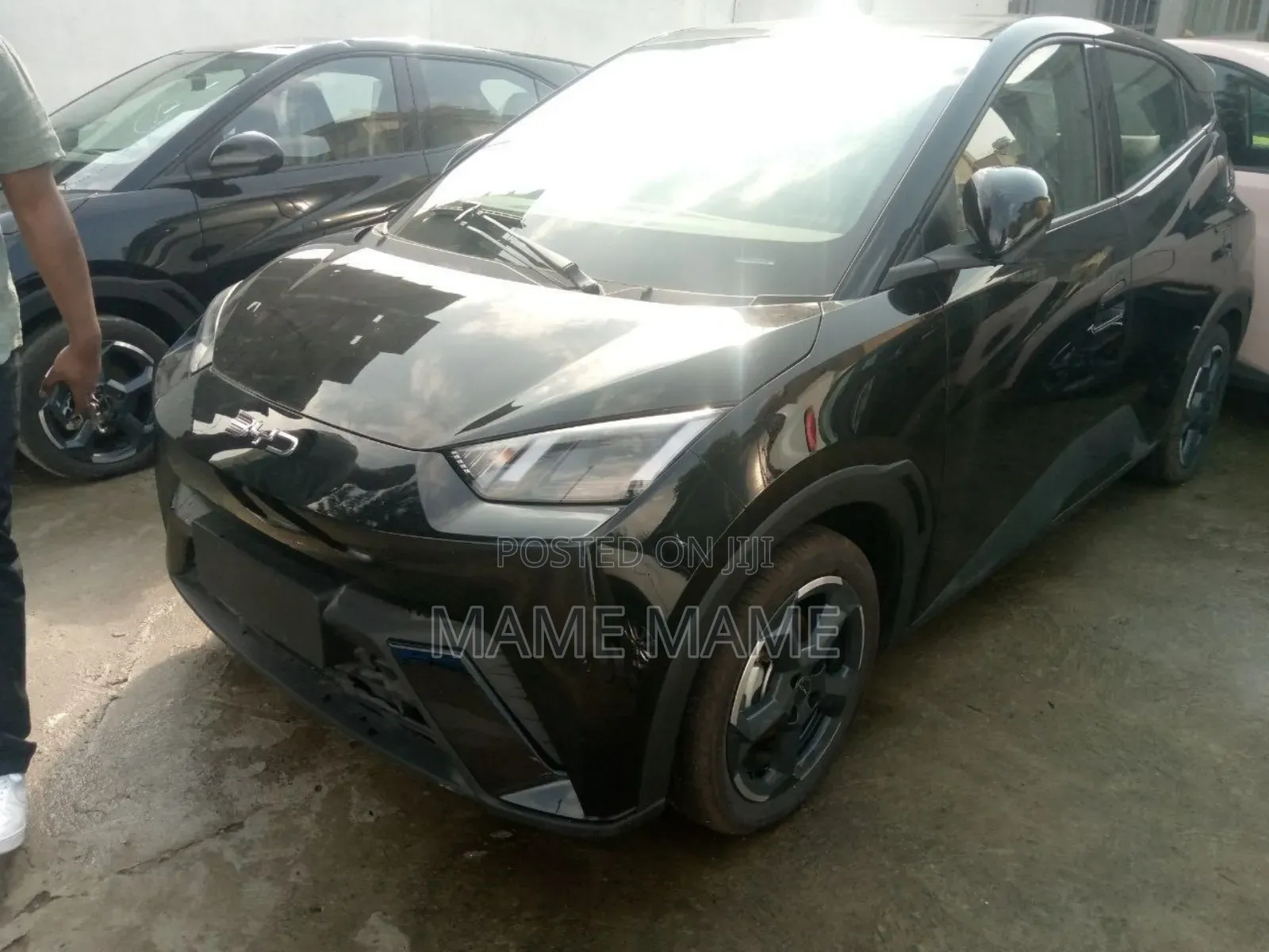 New BYD Seagull 2024 Black