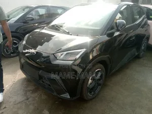 New BYD Seagull 2024 Black
